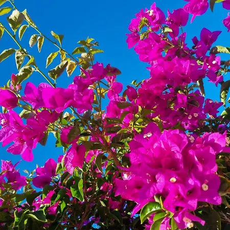 Lora Modern & New Townhouse 2 Bedroom Holiday home Puerto de Santiago (Tenerife)