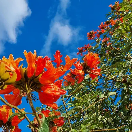 Lora Modern & New Townhouse 2 Bedroom *